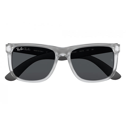Ray-Ban 0RB4165