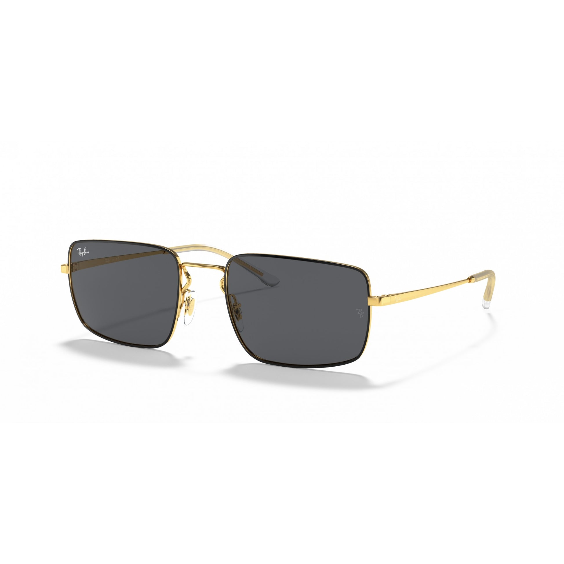 Ray-Ban 0RB3669