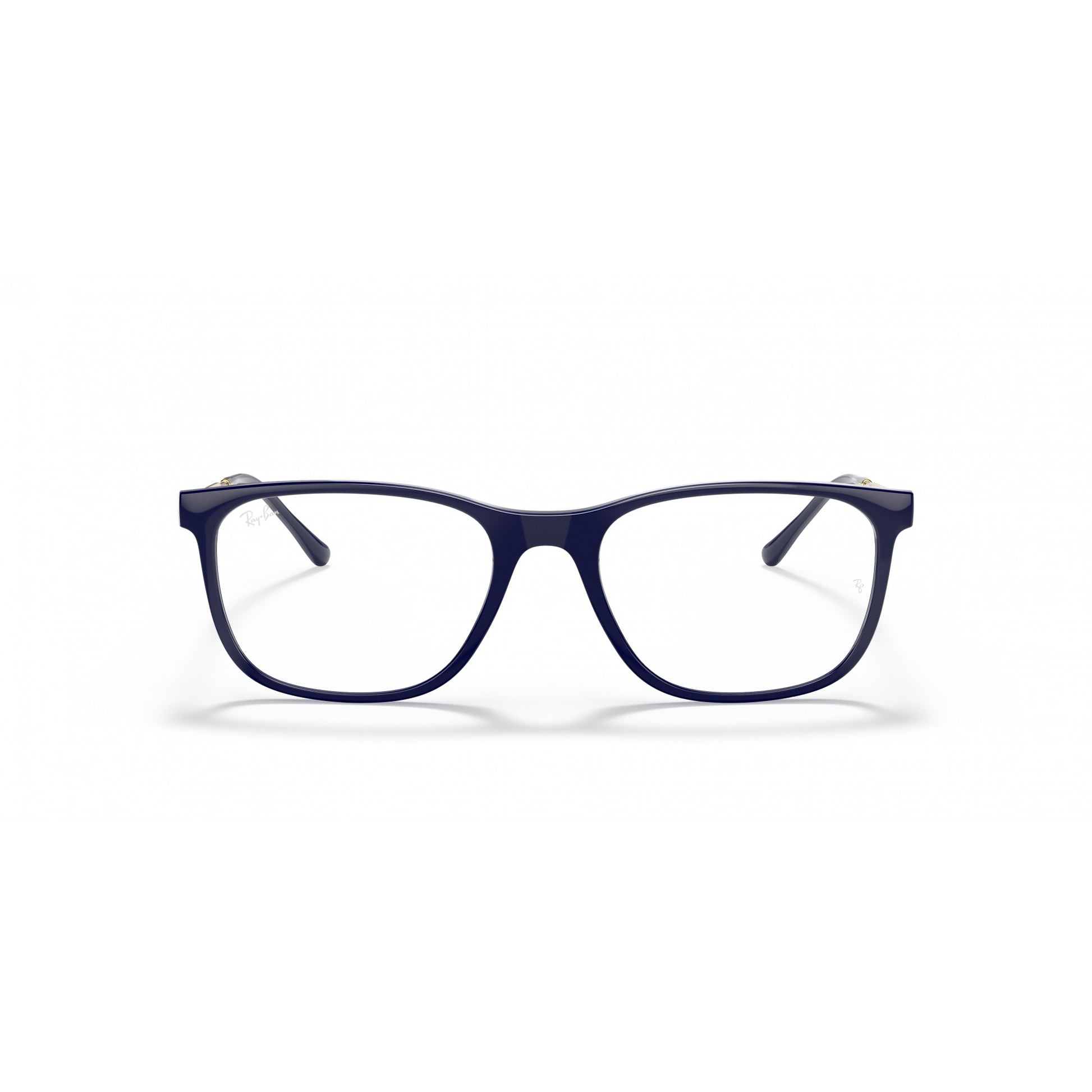 Ray-Ban 0RX7244