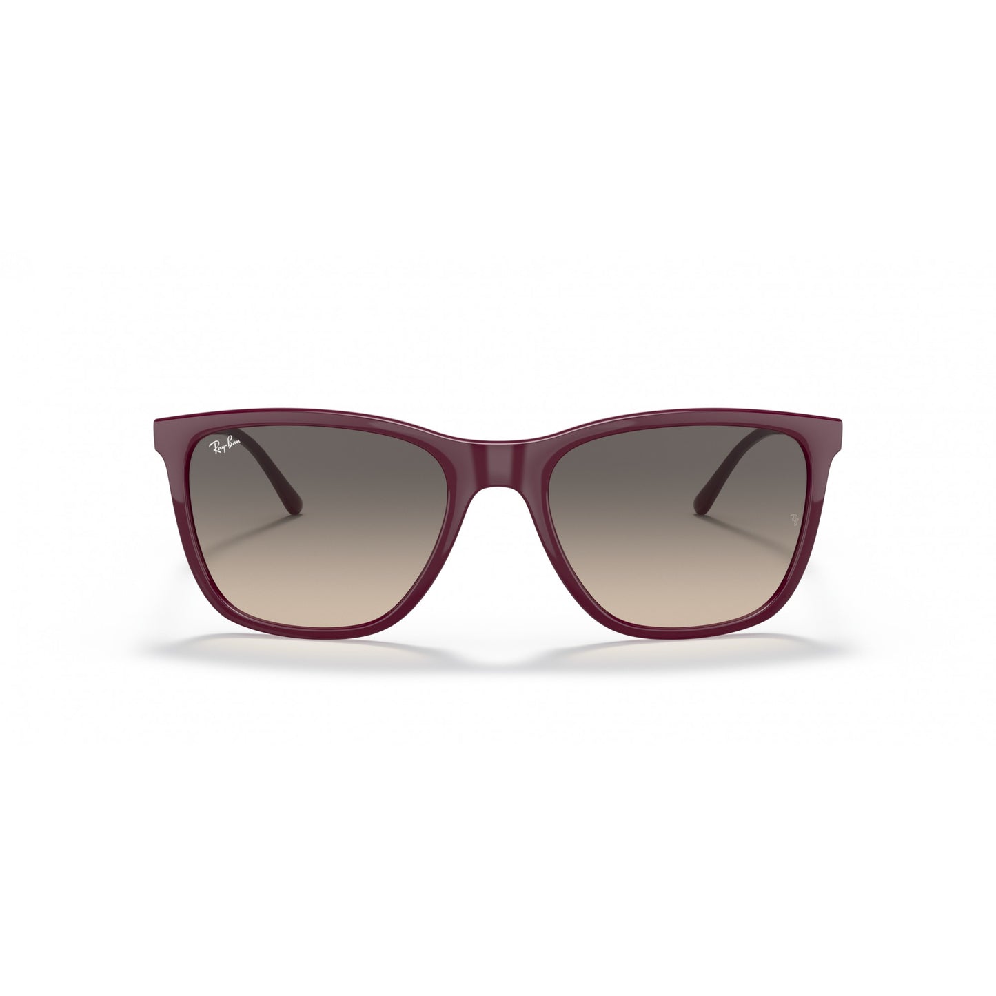 Ray-Ban 0RB4344