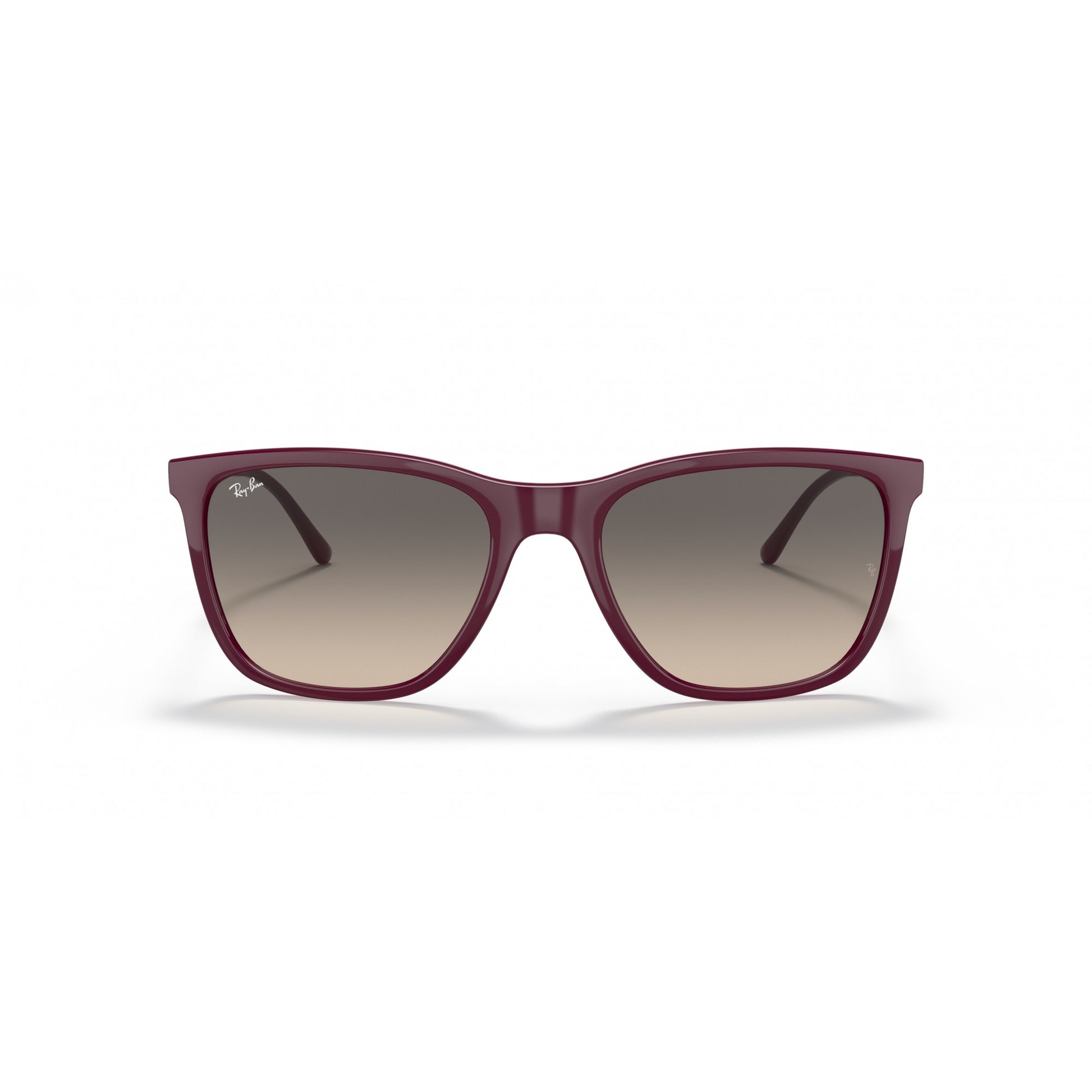 Ray-Ban 0RB4344