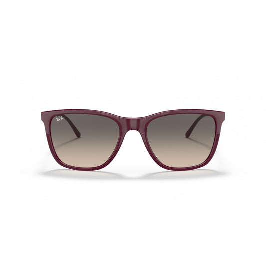 Ray-Ban 0RB4344