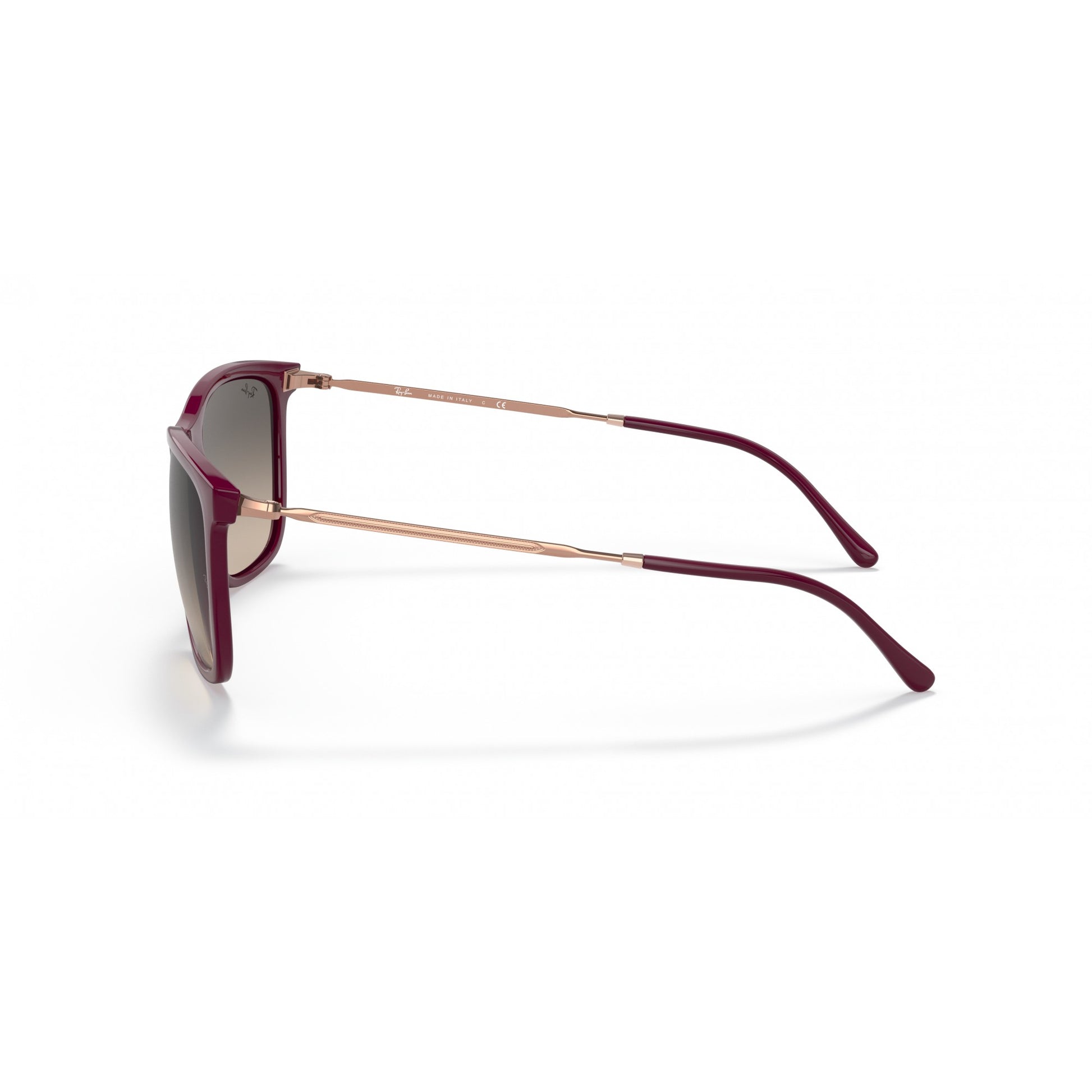 Ray-Ban 0RB4344