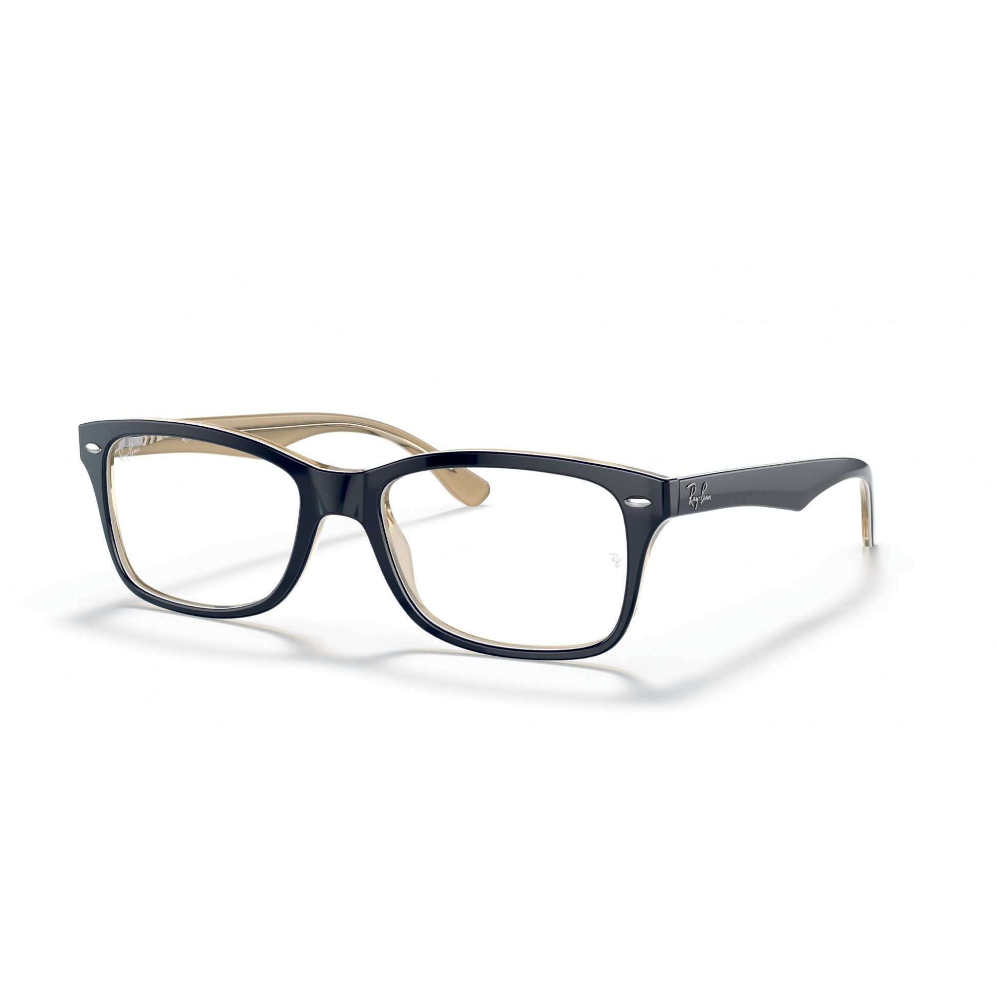 Ray-Ban 0RX5228