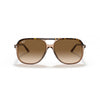 Ray-Ban 0RB2198