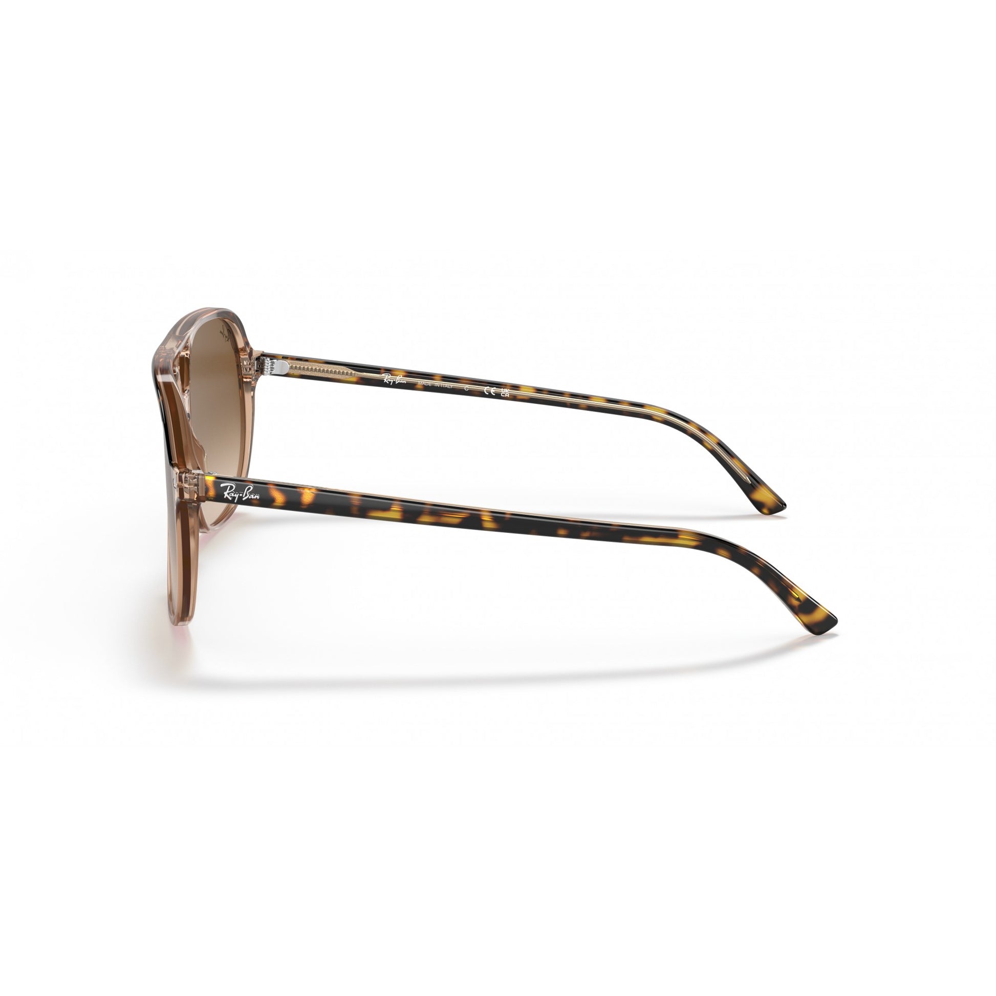 Ray-Ban 0RB2198