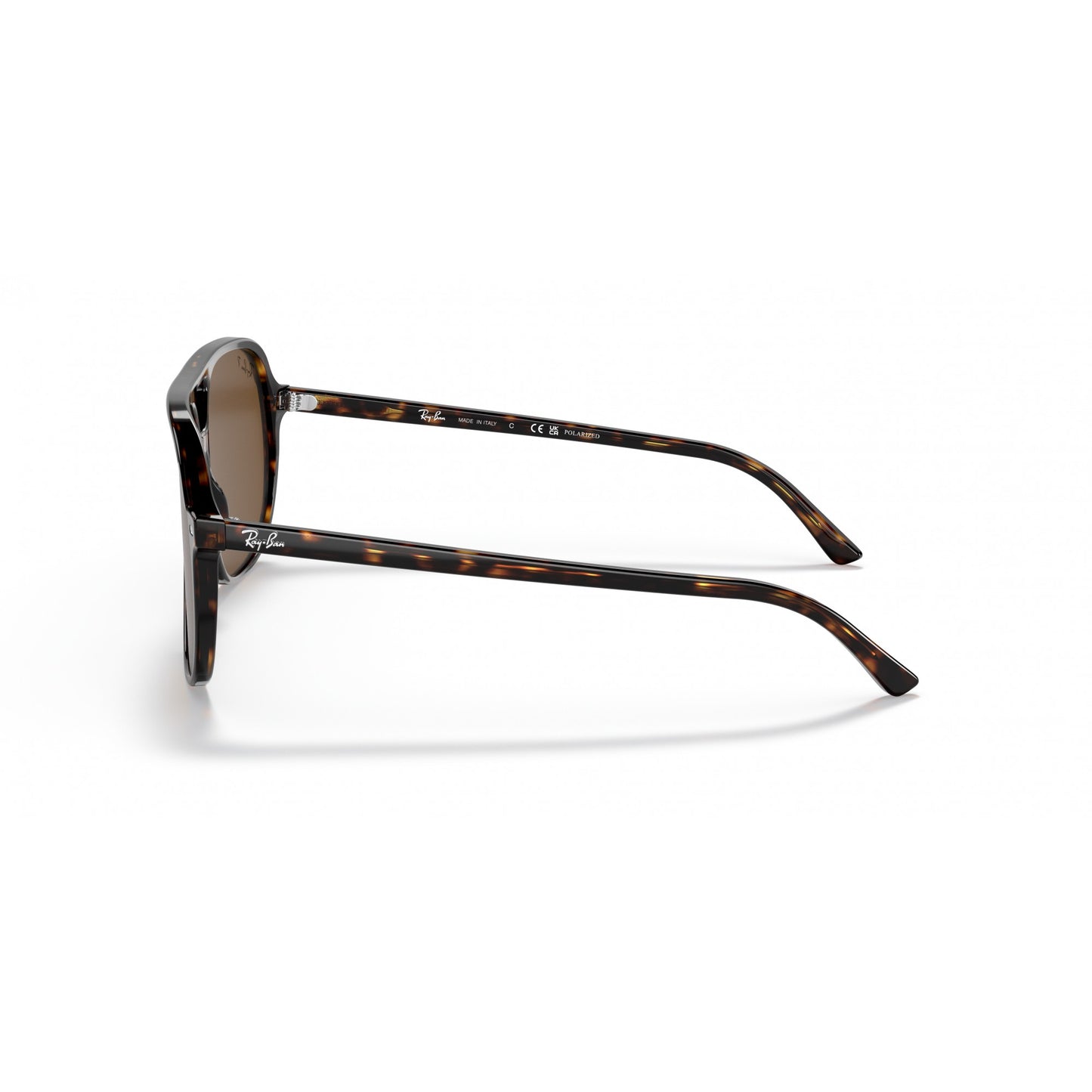 Ray-Ban 0RB2198