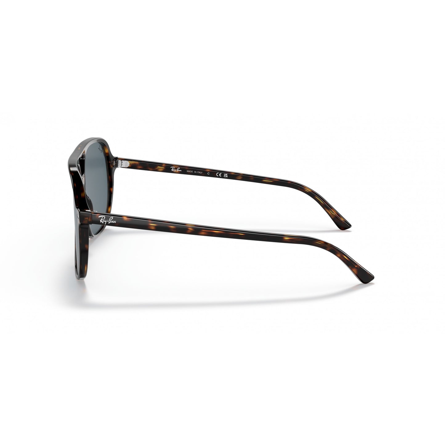 Ray-Ban 0RB2198