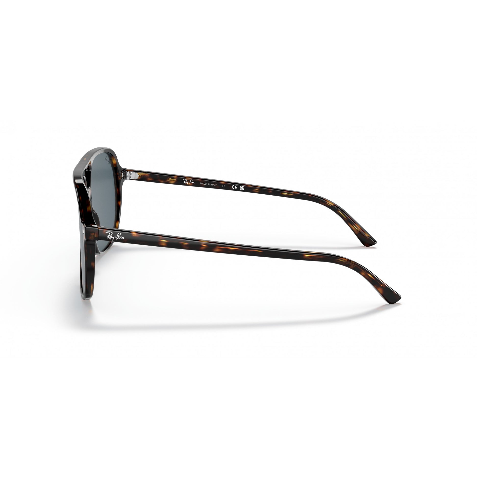 Ray-Ban 0RB2198
