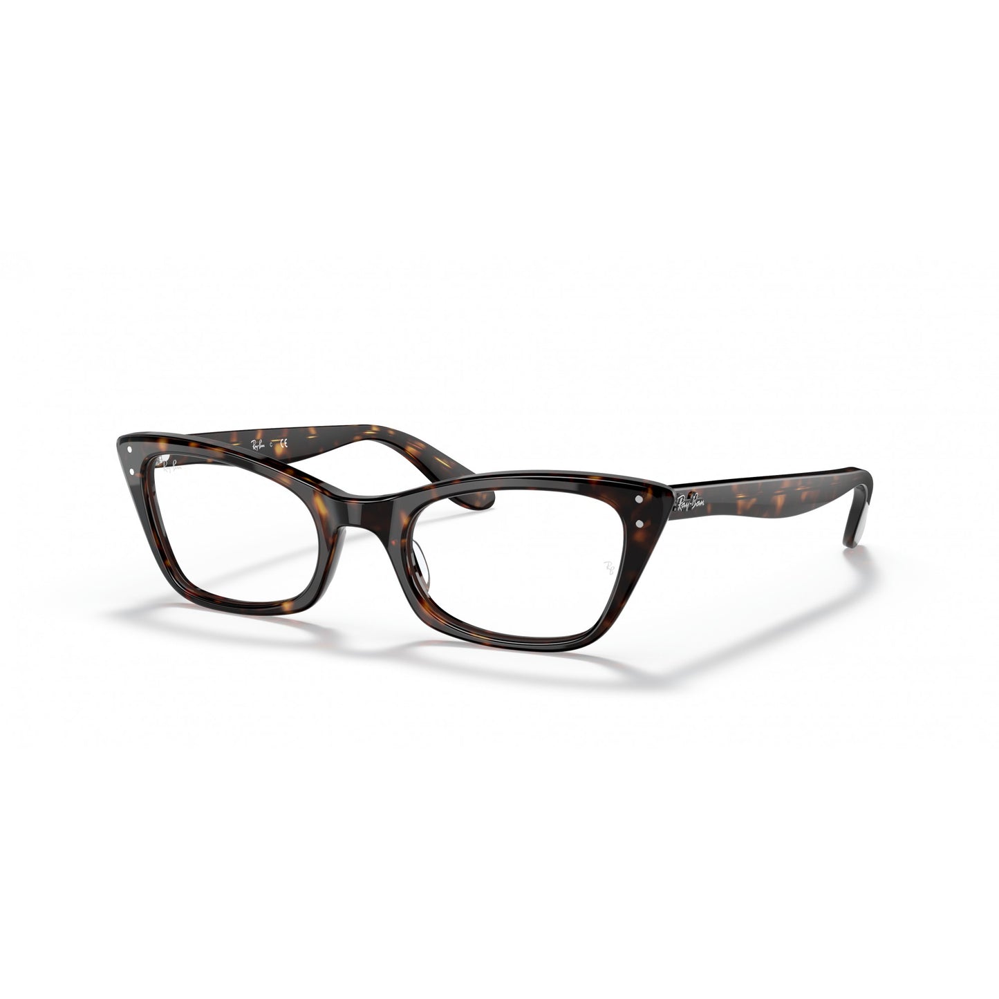 Ray-Ban 0RX5499