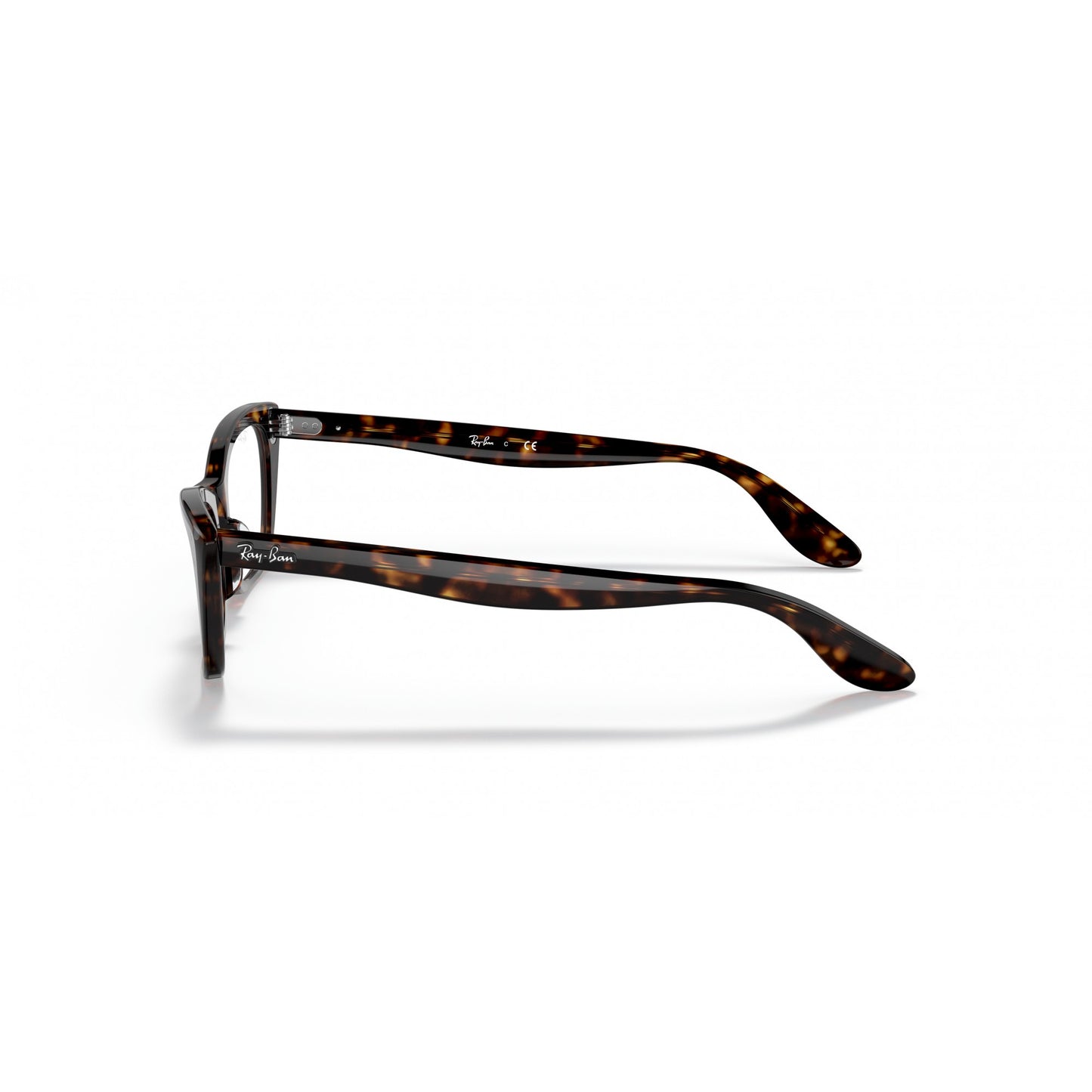 Ray-Ban 0RX5499