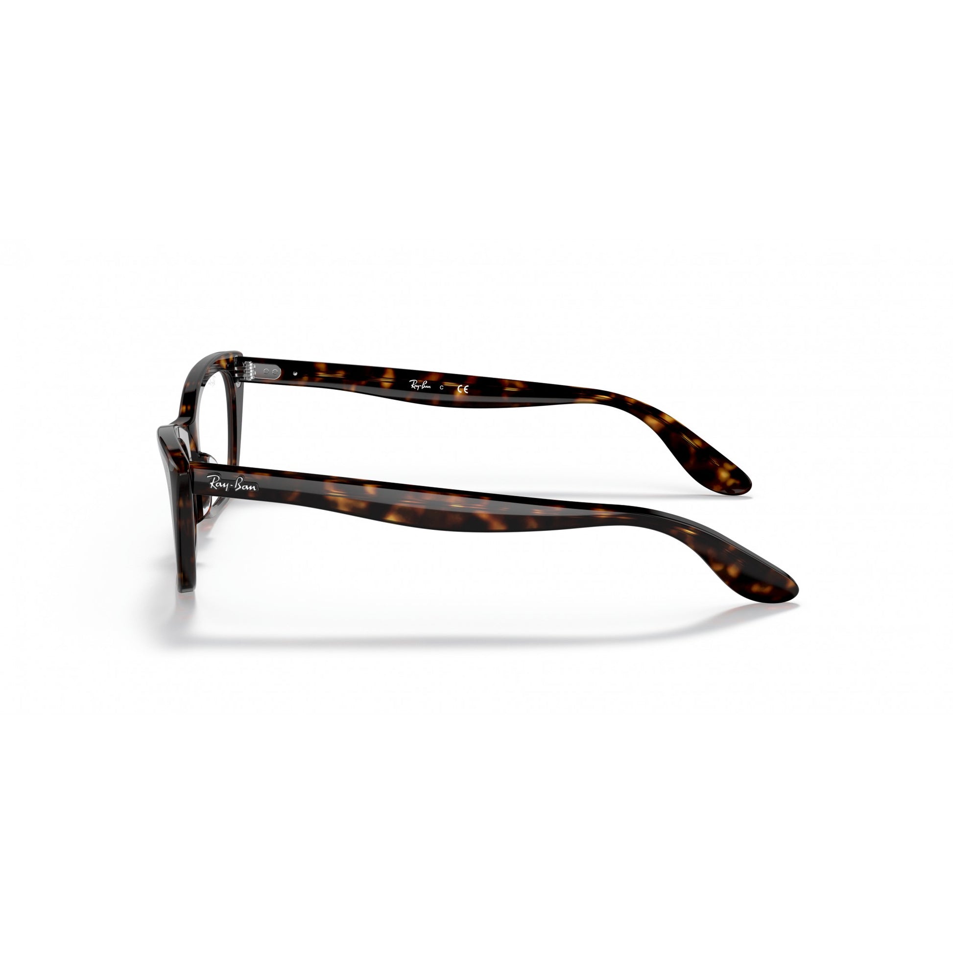 Ray-Ban 0RX5499