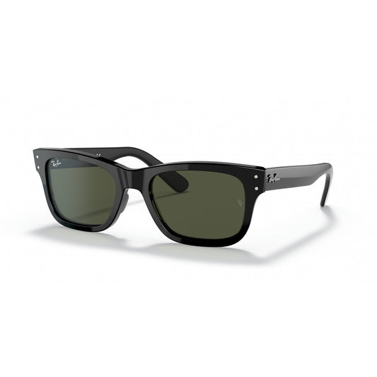 Ray-Ban 0RB2283
