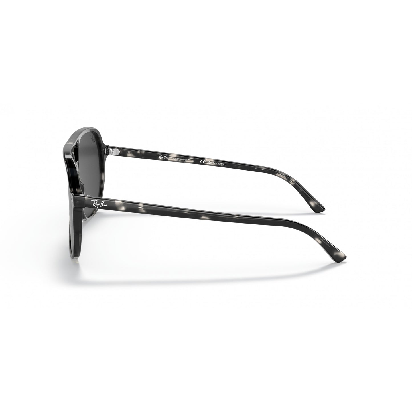Ray-Ban 0RB2198