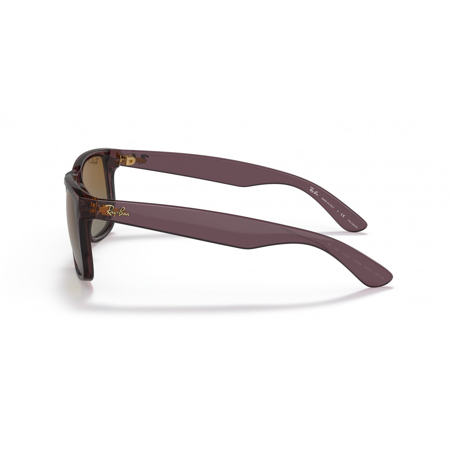 Ray-Ban 0RB4165