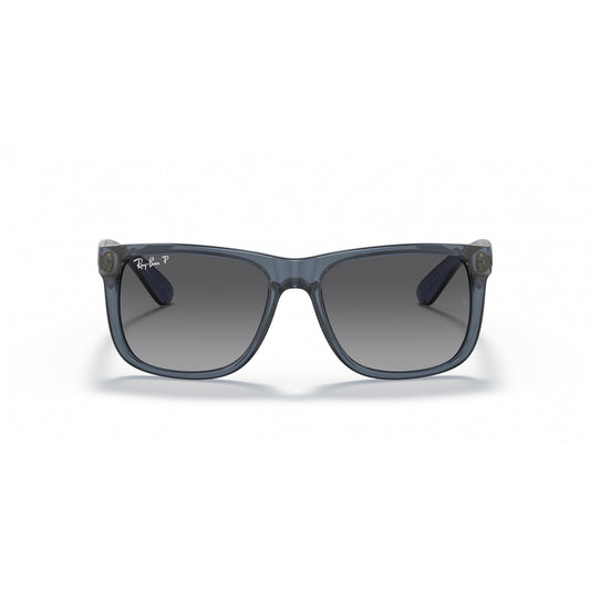 Ray-Ban 0RB4165