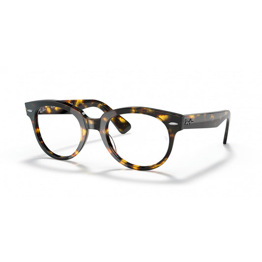 Ray-Ban 0RX2199V