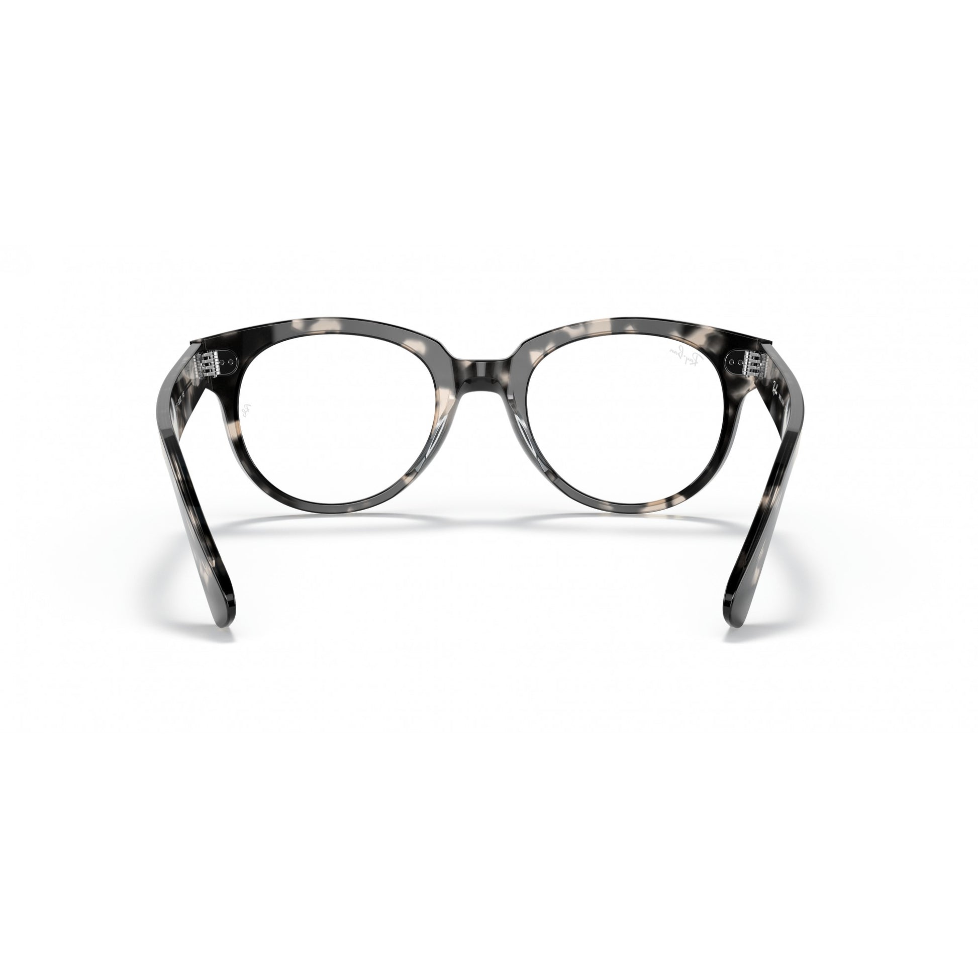 Ray-Ban 0RX2199V