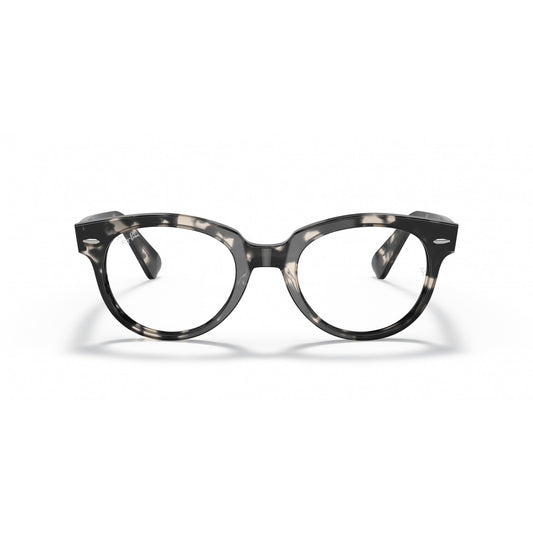 Ray-Ban 0RX2199V