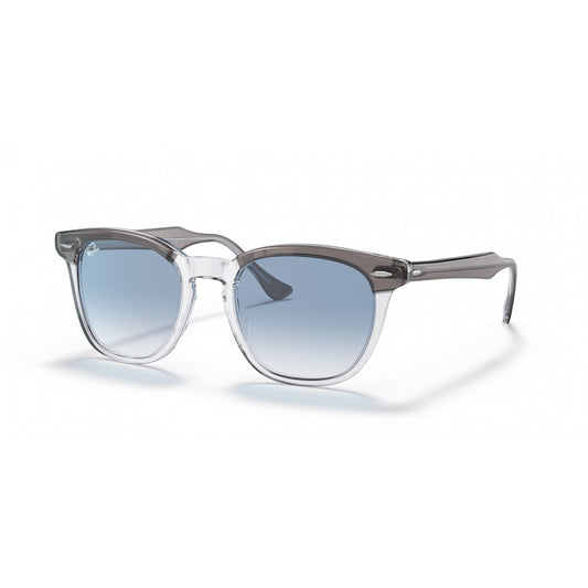 Ray-Ban 0RB2298