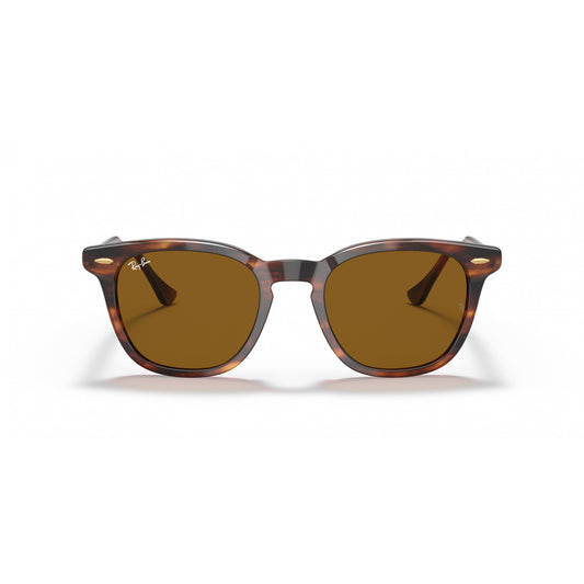 Ray-Ban 0RB2298