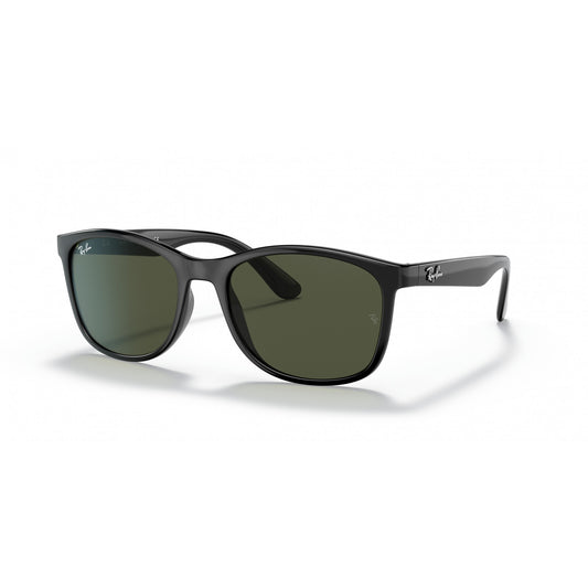 Ray-Ban 0RB4374