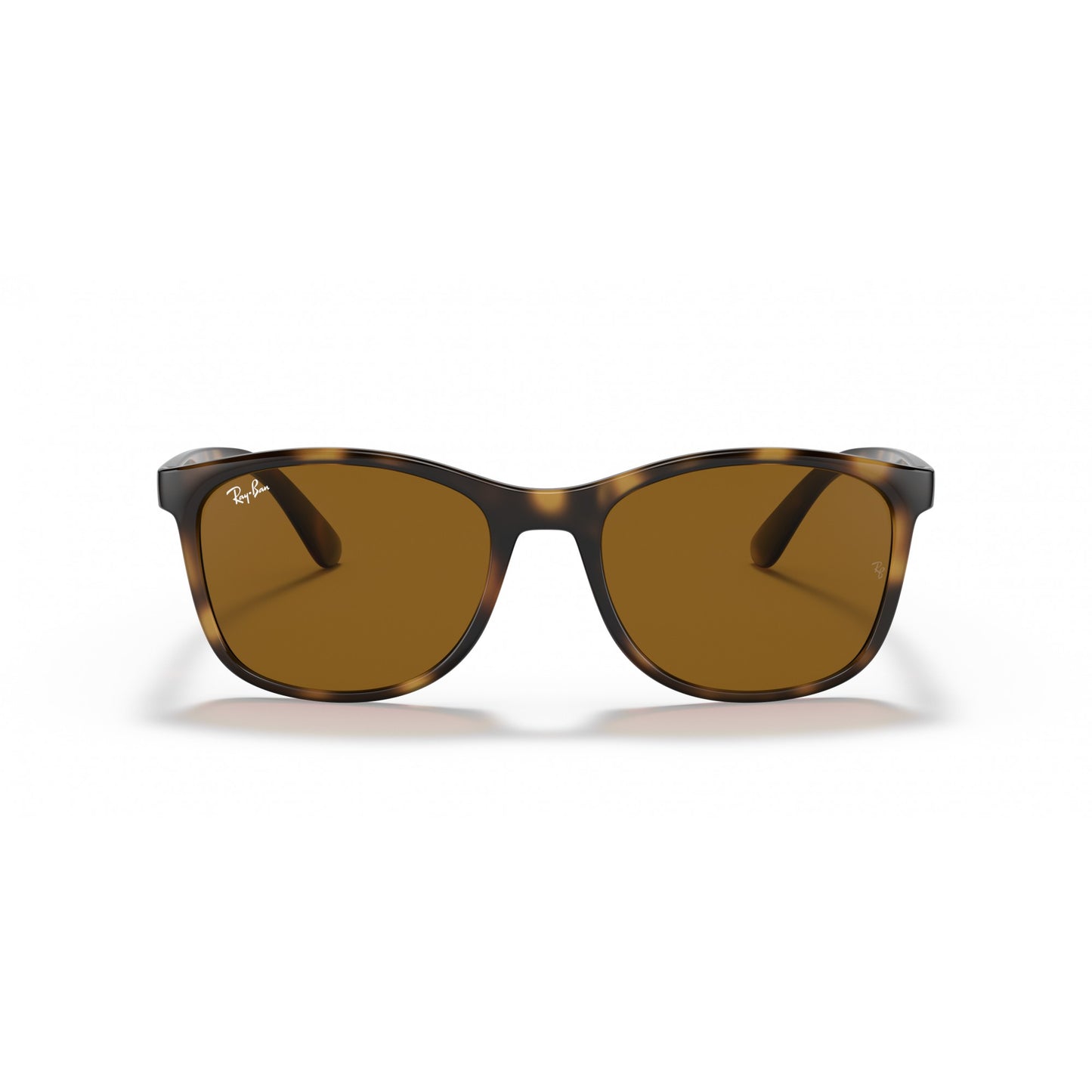Ray-Ban 0RB4374