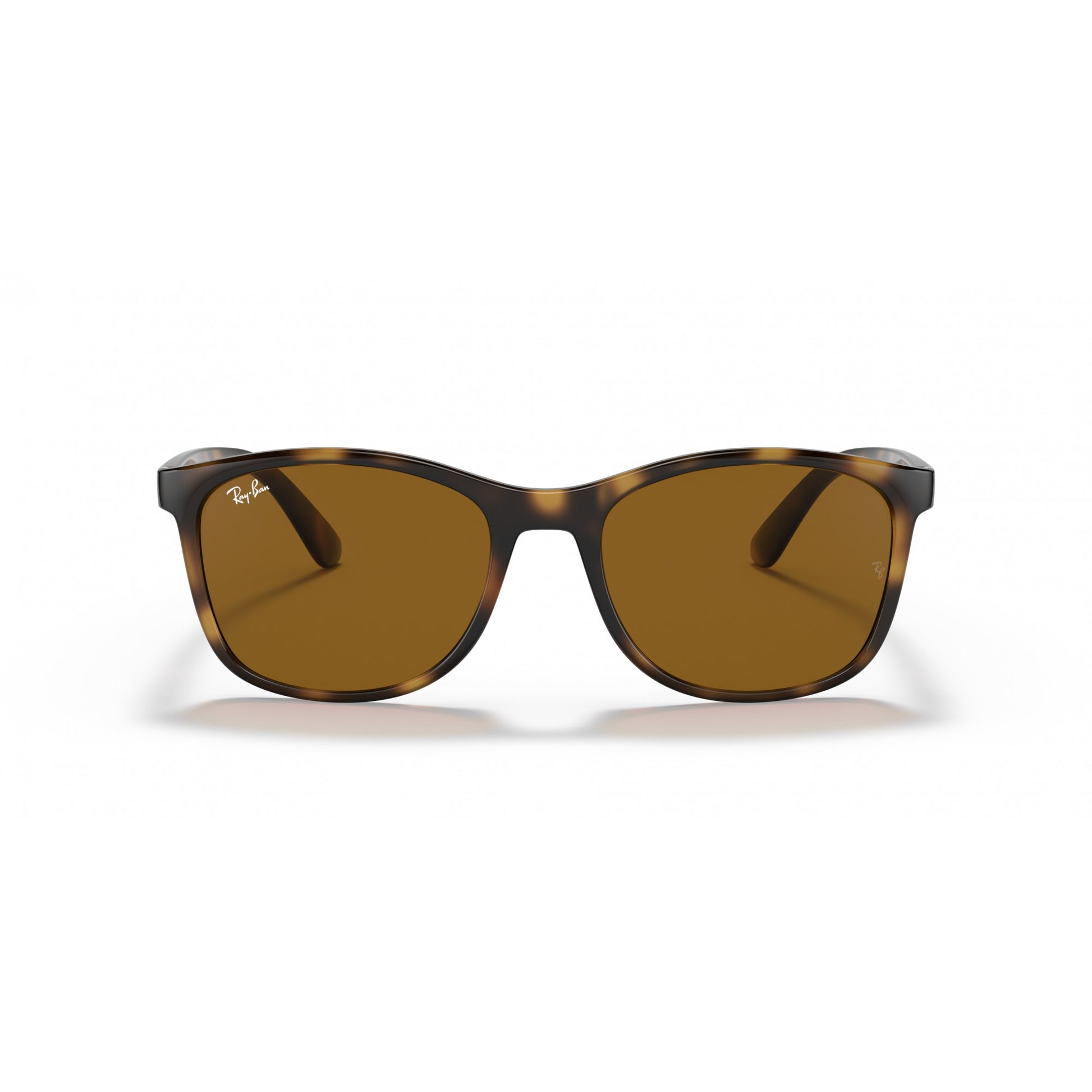 Ray-Ban 0RB4374