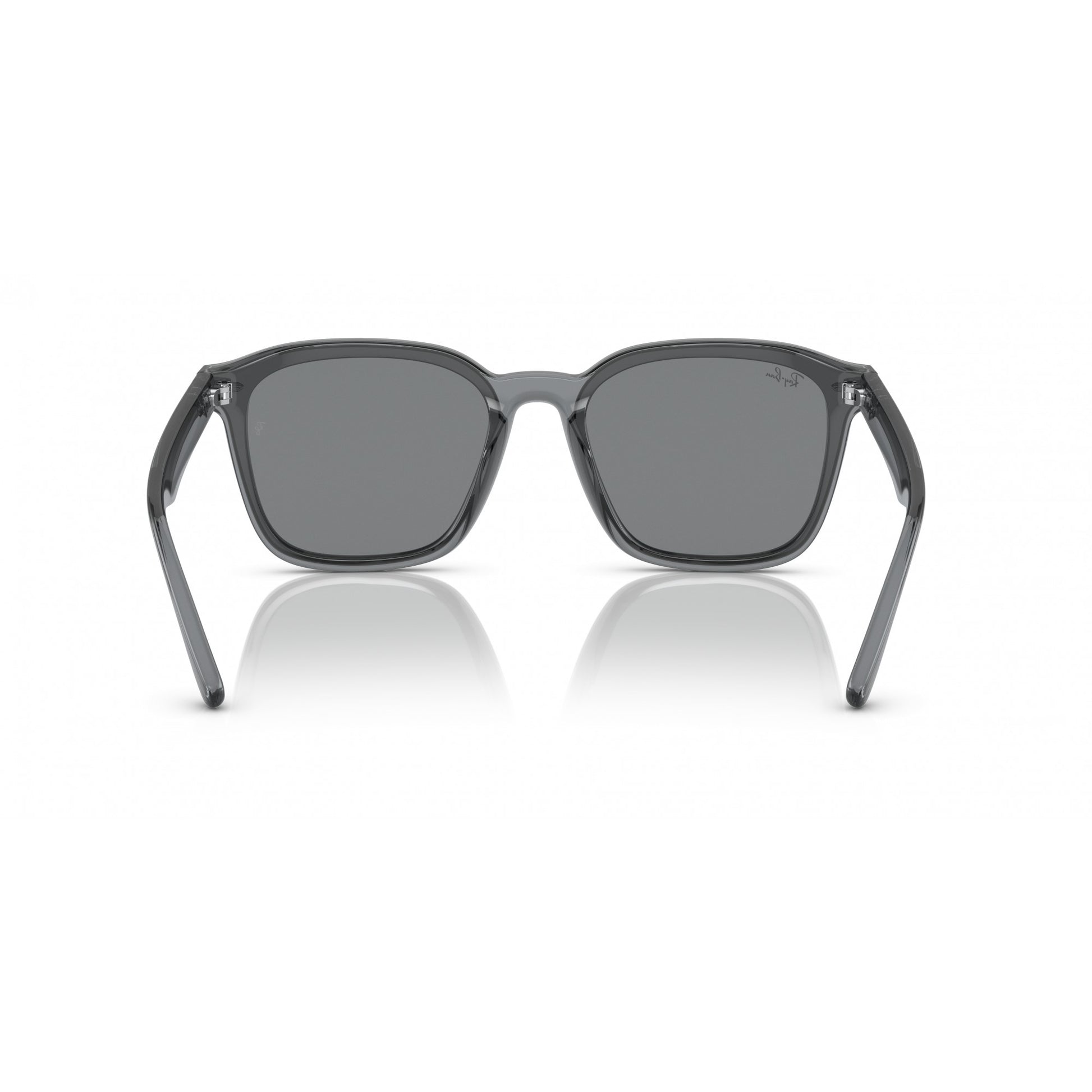 Ray-Ban 0RB4392D