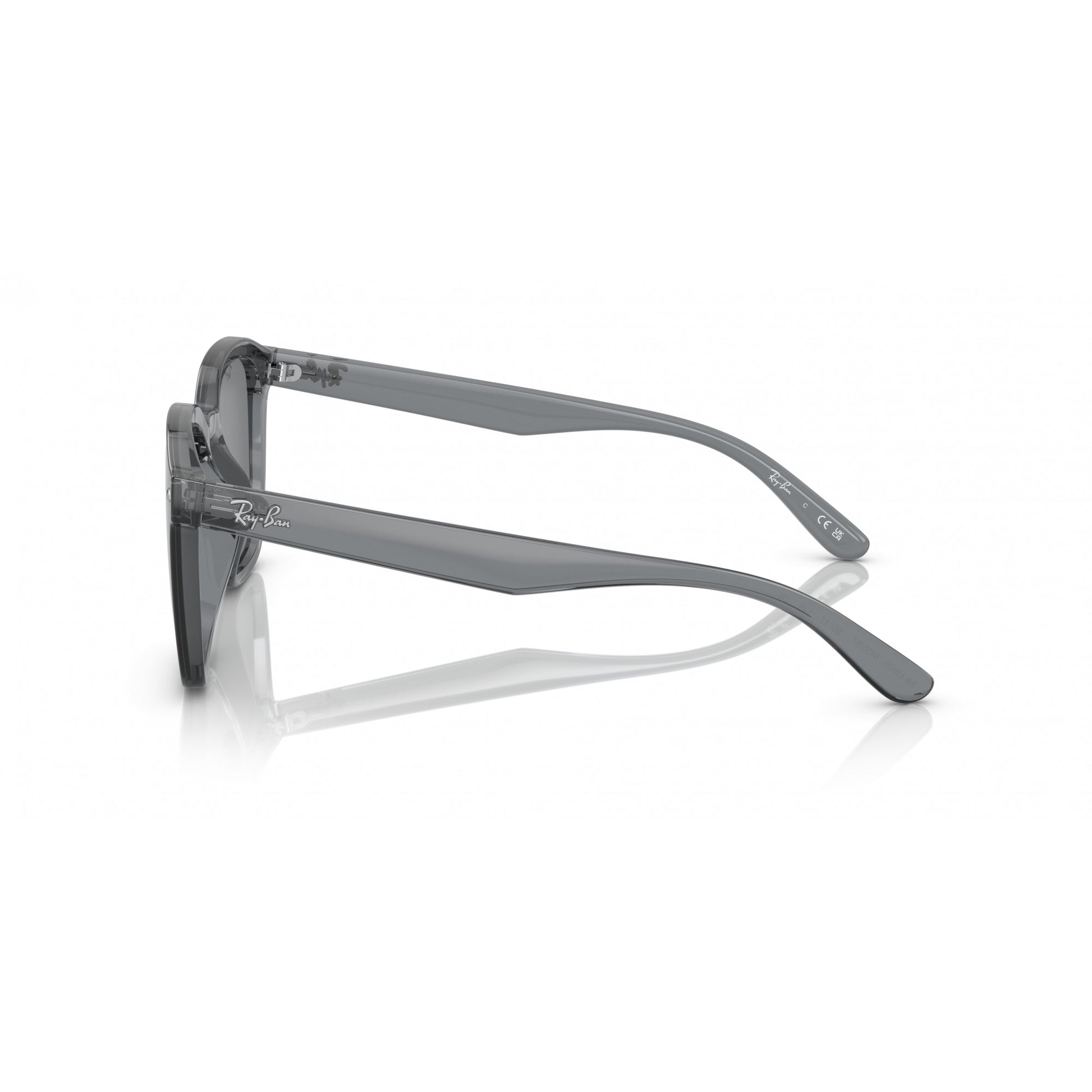Ray-Ban 0RB4392D