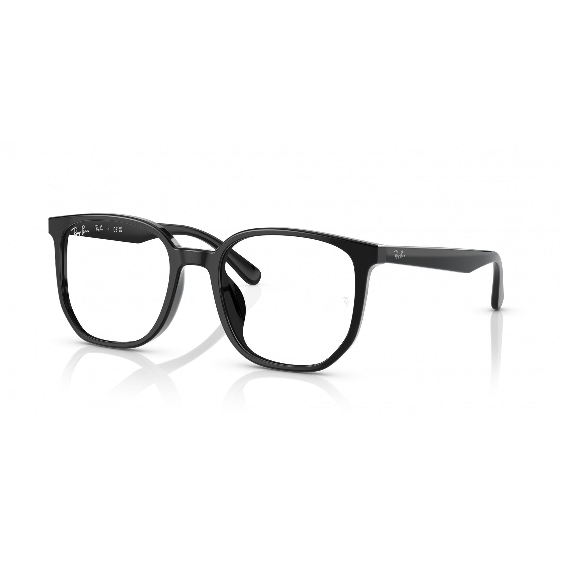 Ray-Ban 0RX5411D