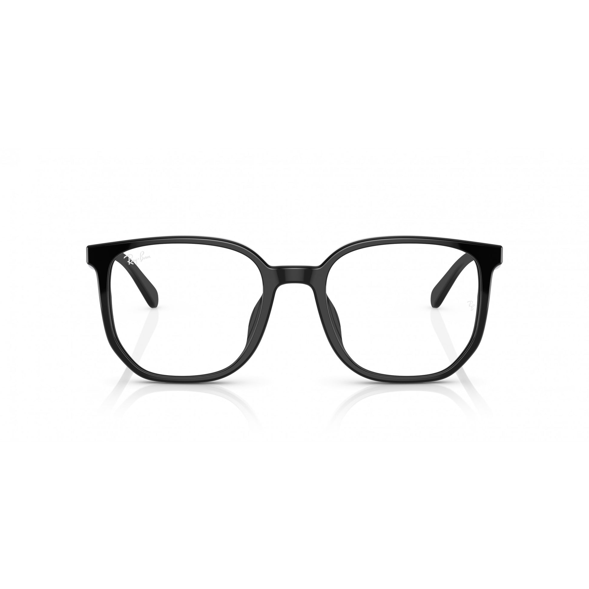 Ray-Ban 0RX5411D