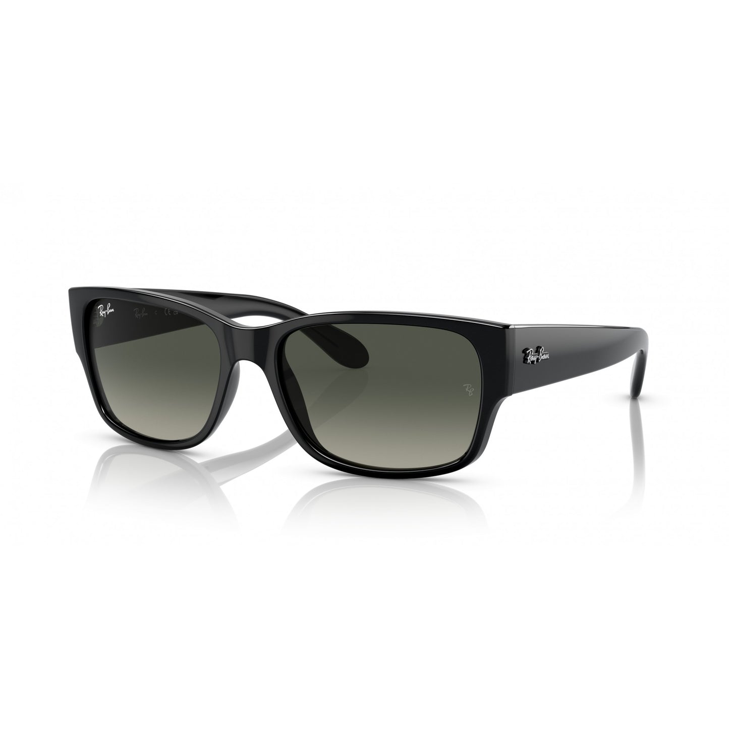 Ray-Ban 0RB4388