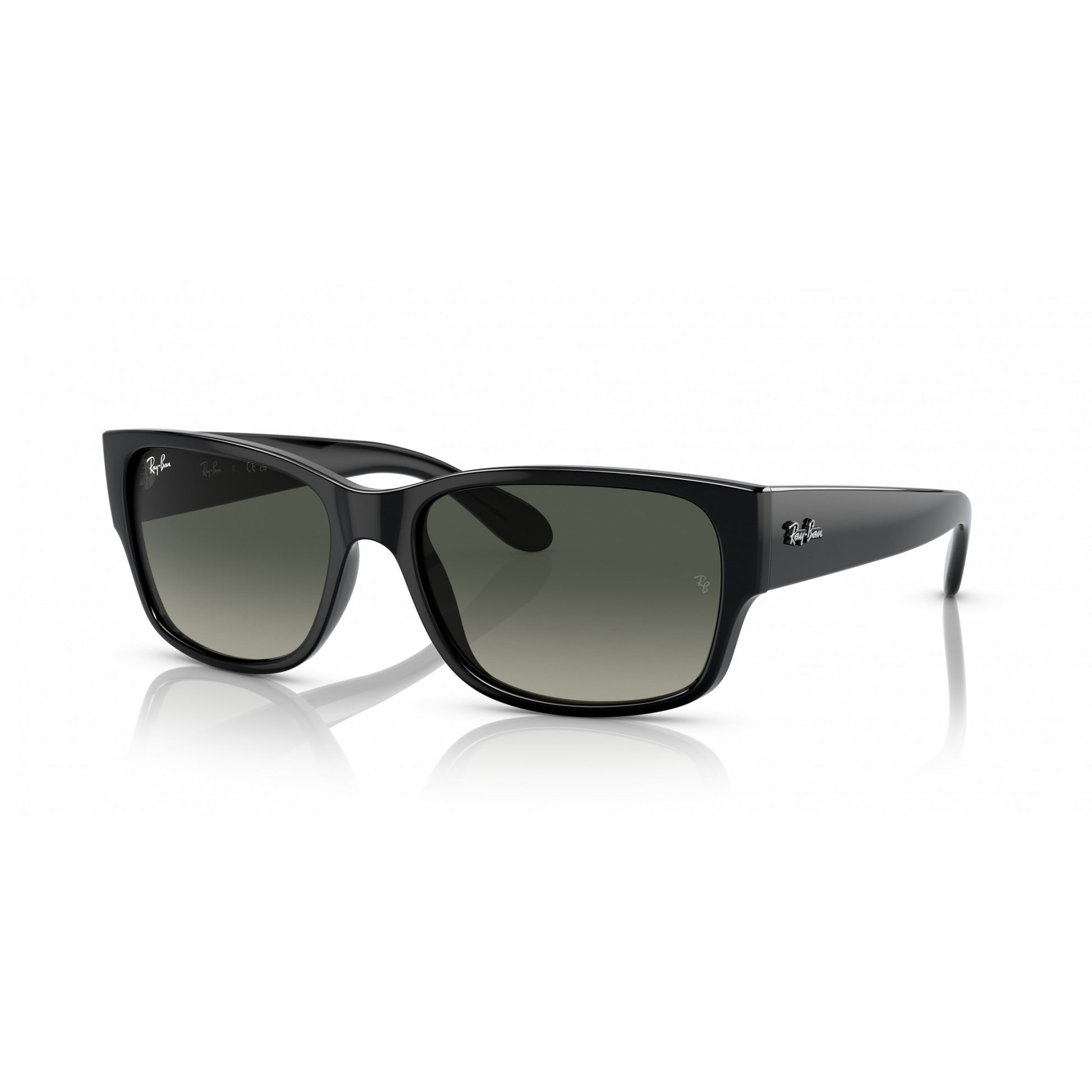 Ray-Ban 0RB4388
