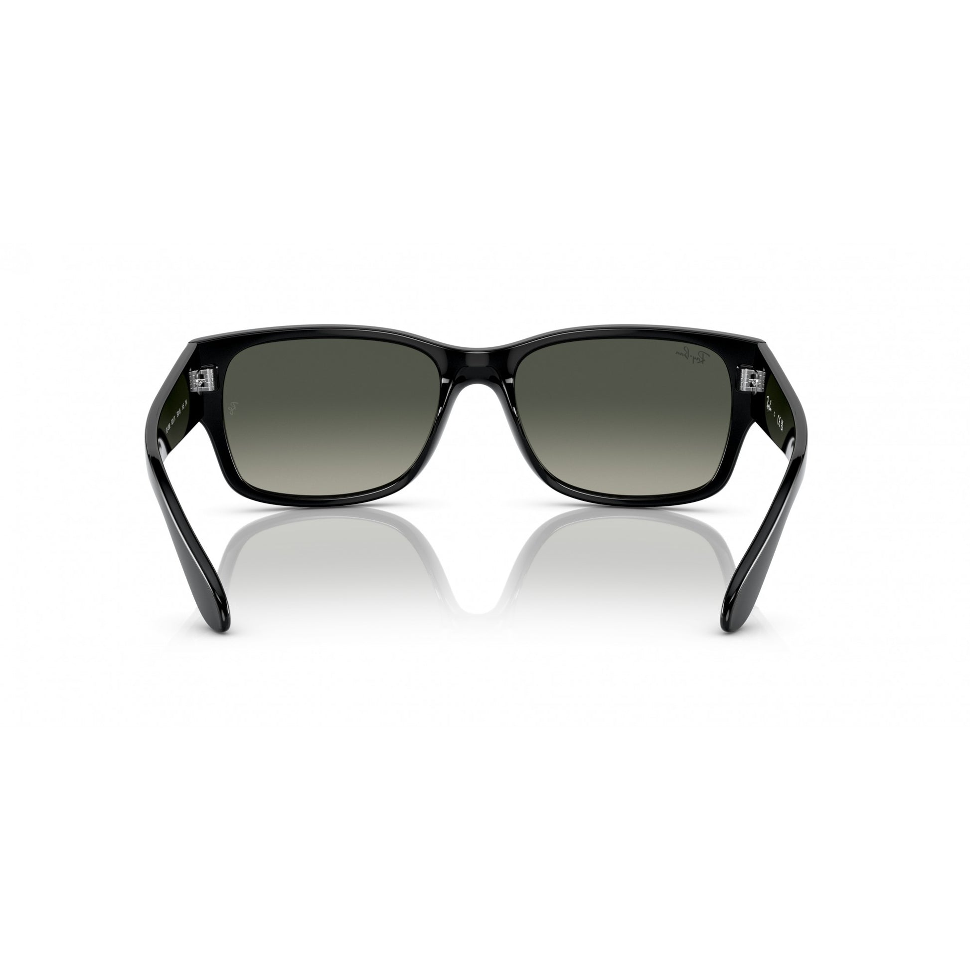 Ray-Ban 0RB4388