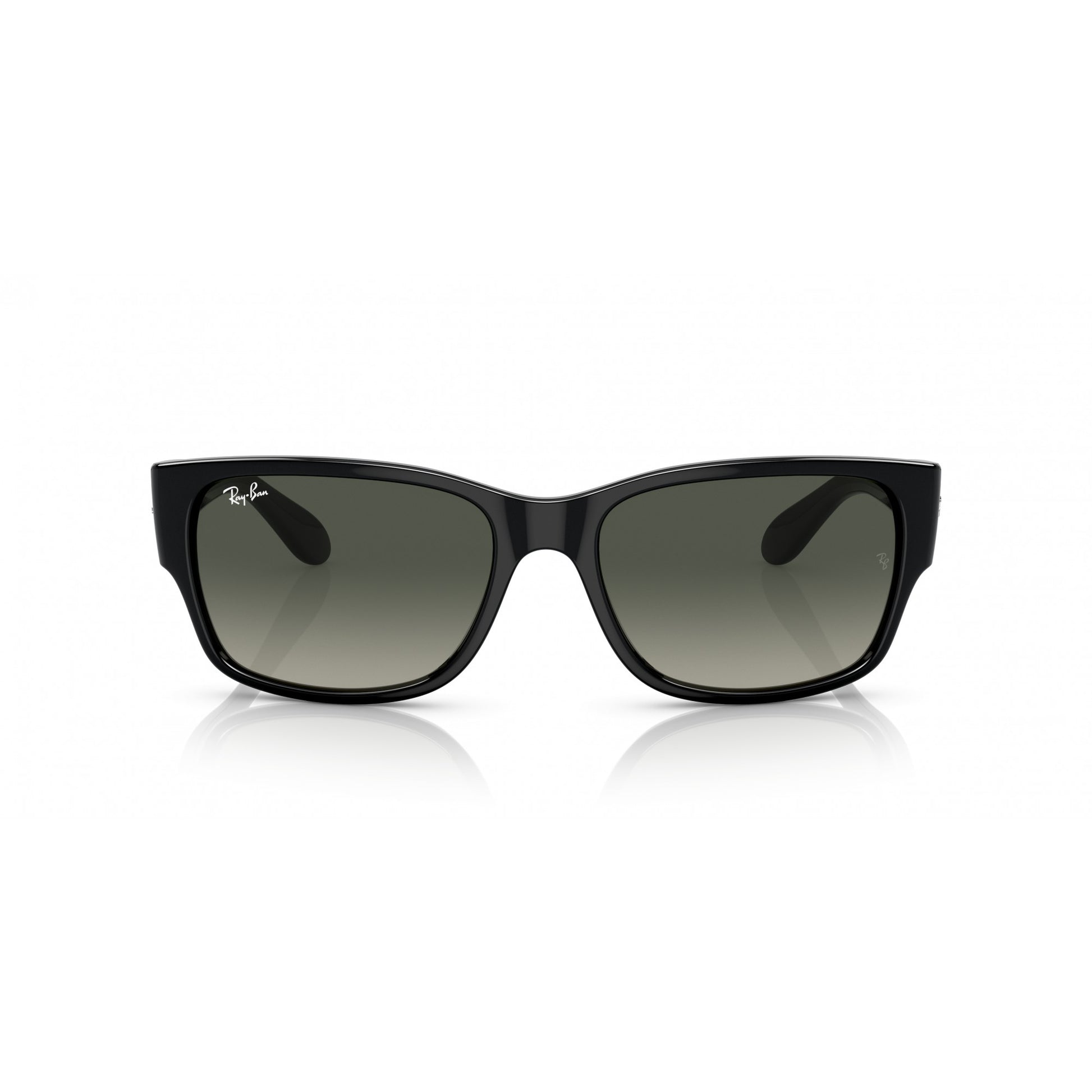 Ray-Ban 0RB4388