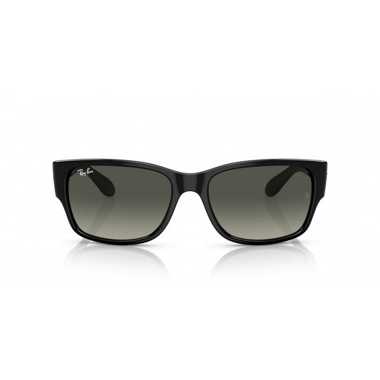 Ray-Ban 0RB4388
