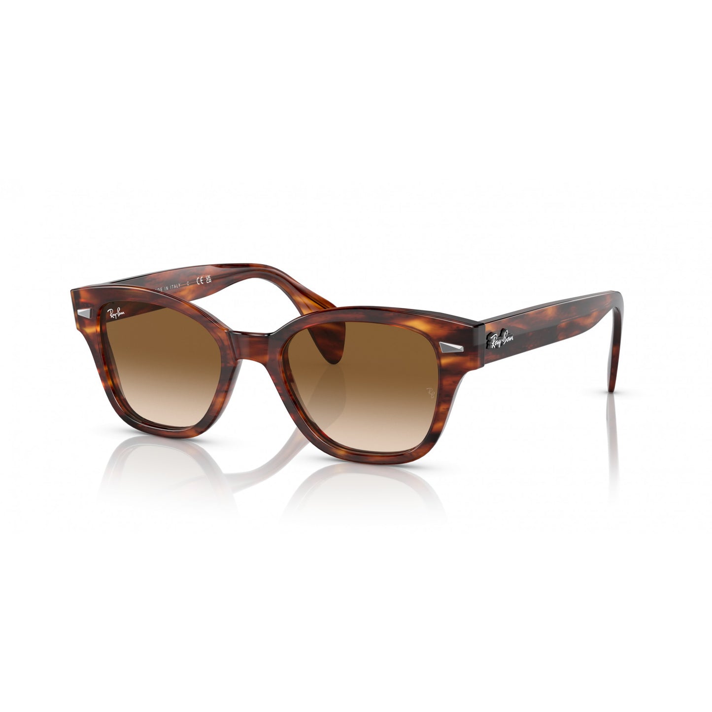 Ray-Ban 0RB0880S