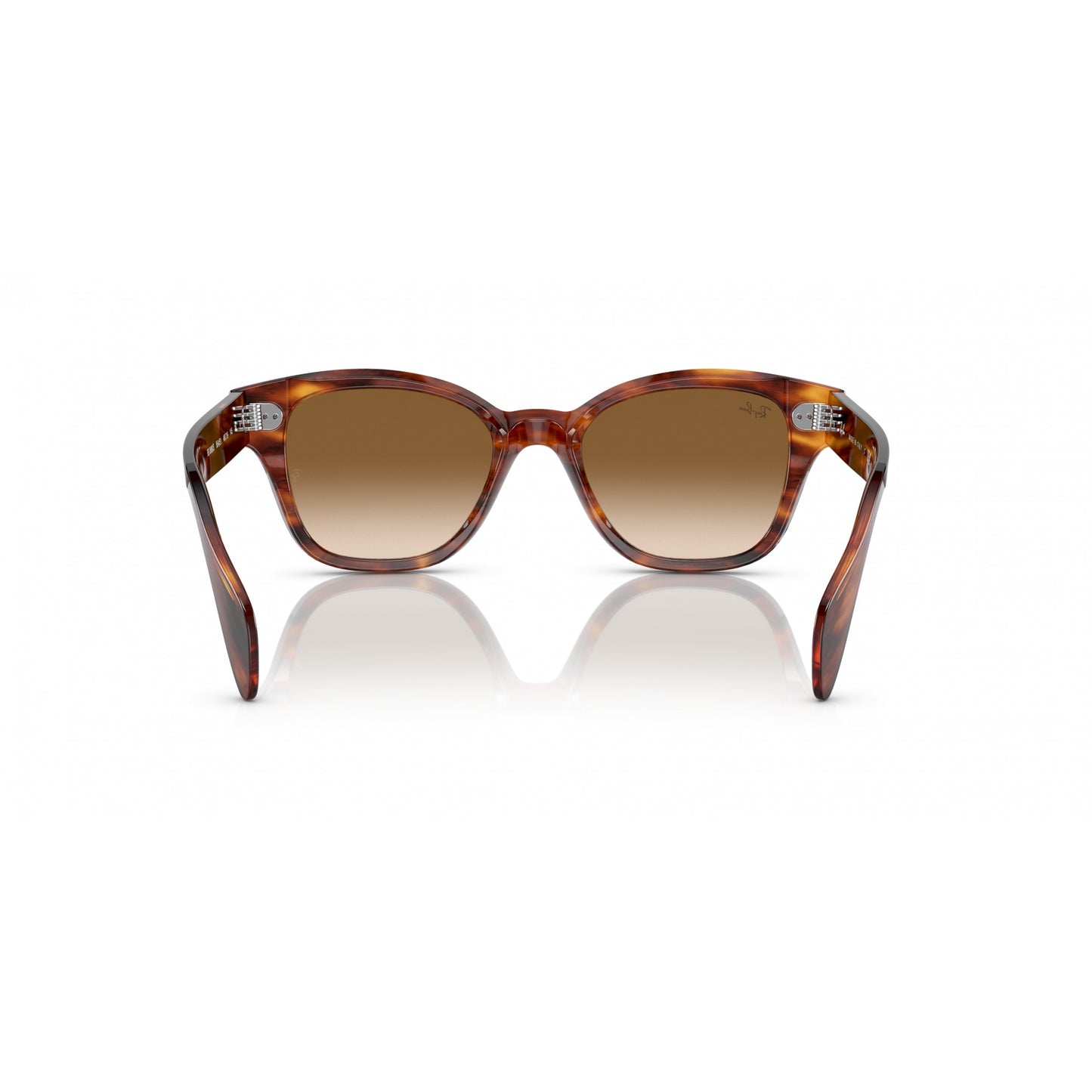 Ray-Ban 0RB0880S