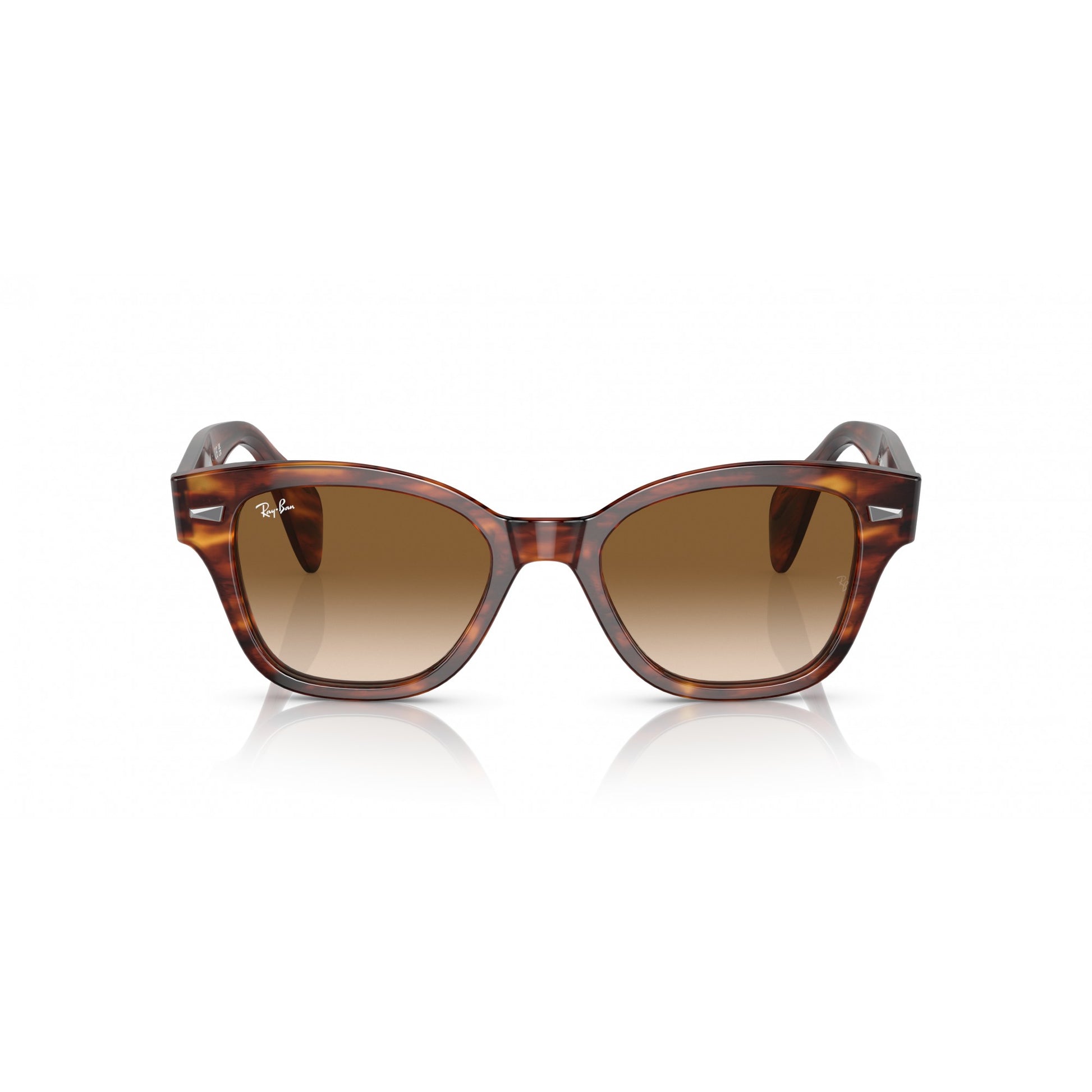 Ray-Ban 0RB0880S