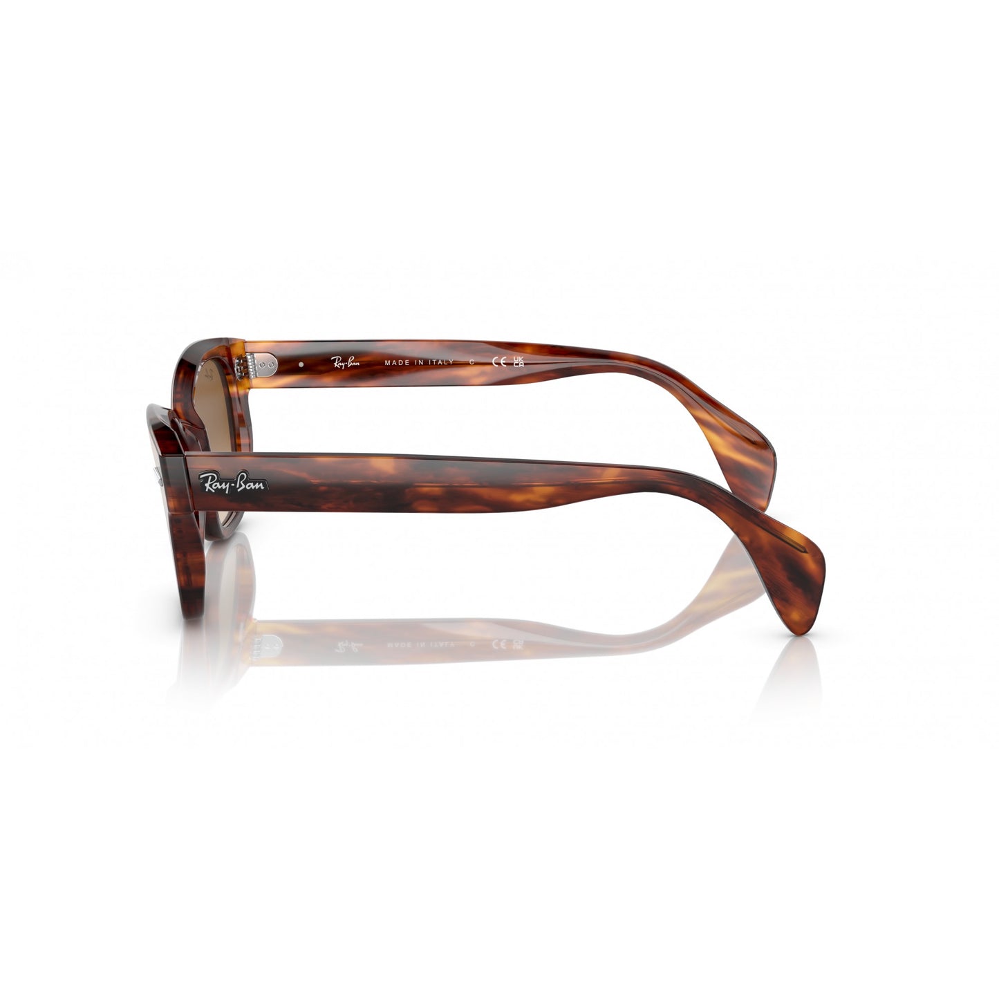 Ray-Ban 0RB0880S