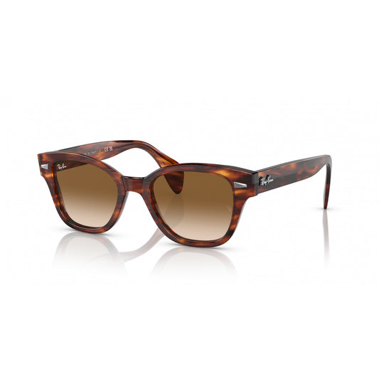 Ray-Ban 0RB0880S