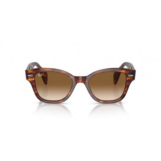 Ray-Ban 0RB0880S