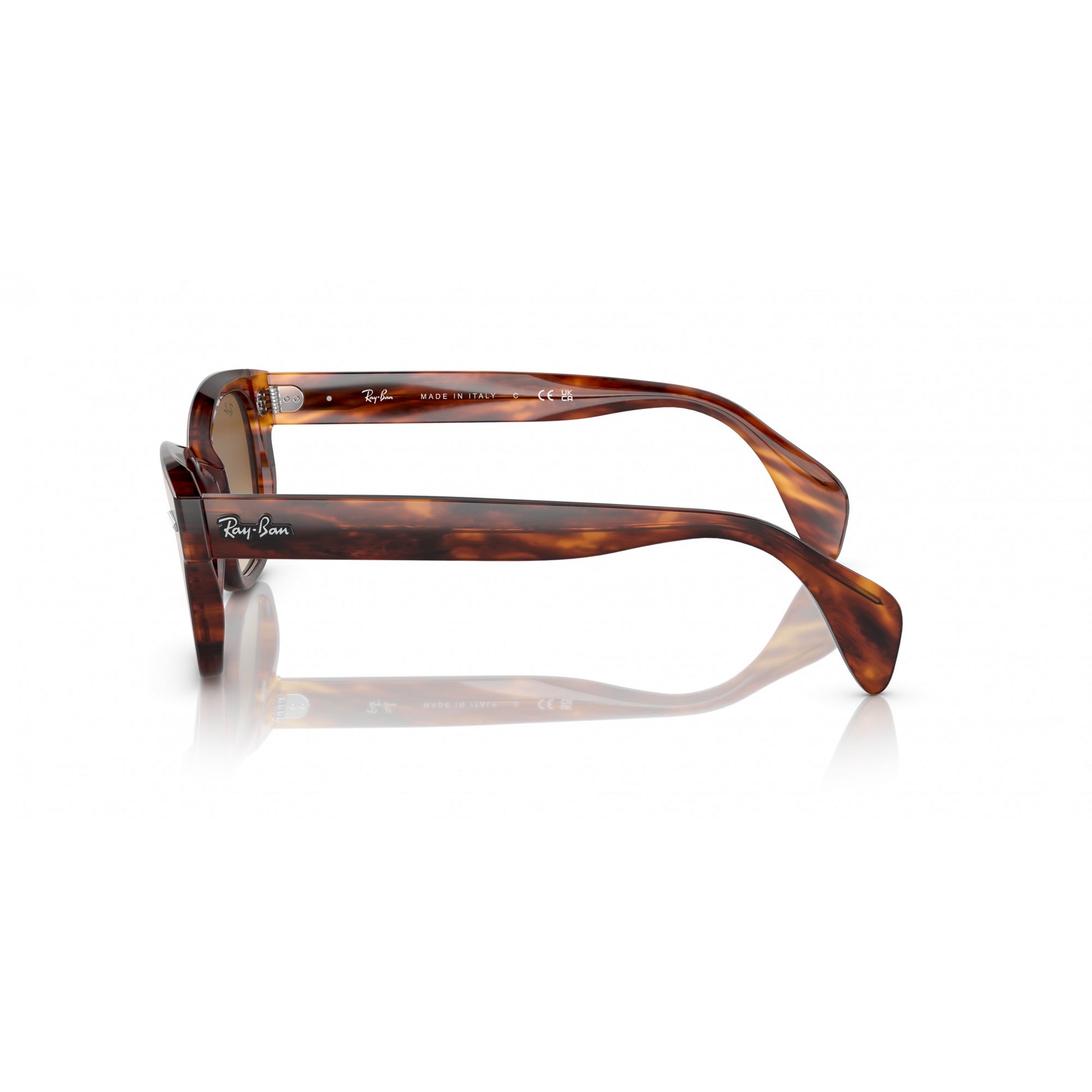 Ray-Ban 0RB0880S