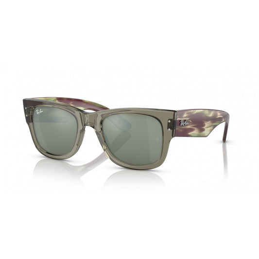 Ray-Ban 0RB0840S