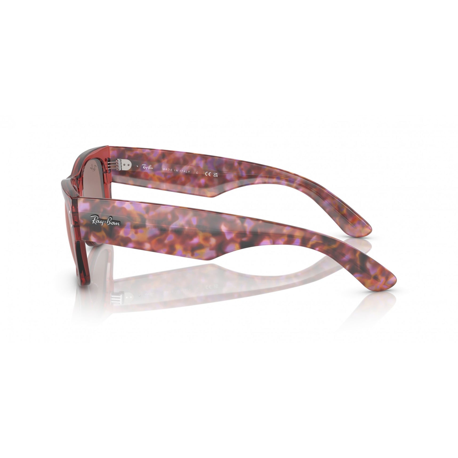 Ray-Ban 0RB0840S