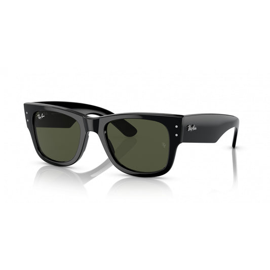Ray-Ban 0RB0840S