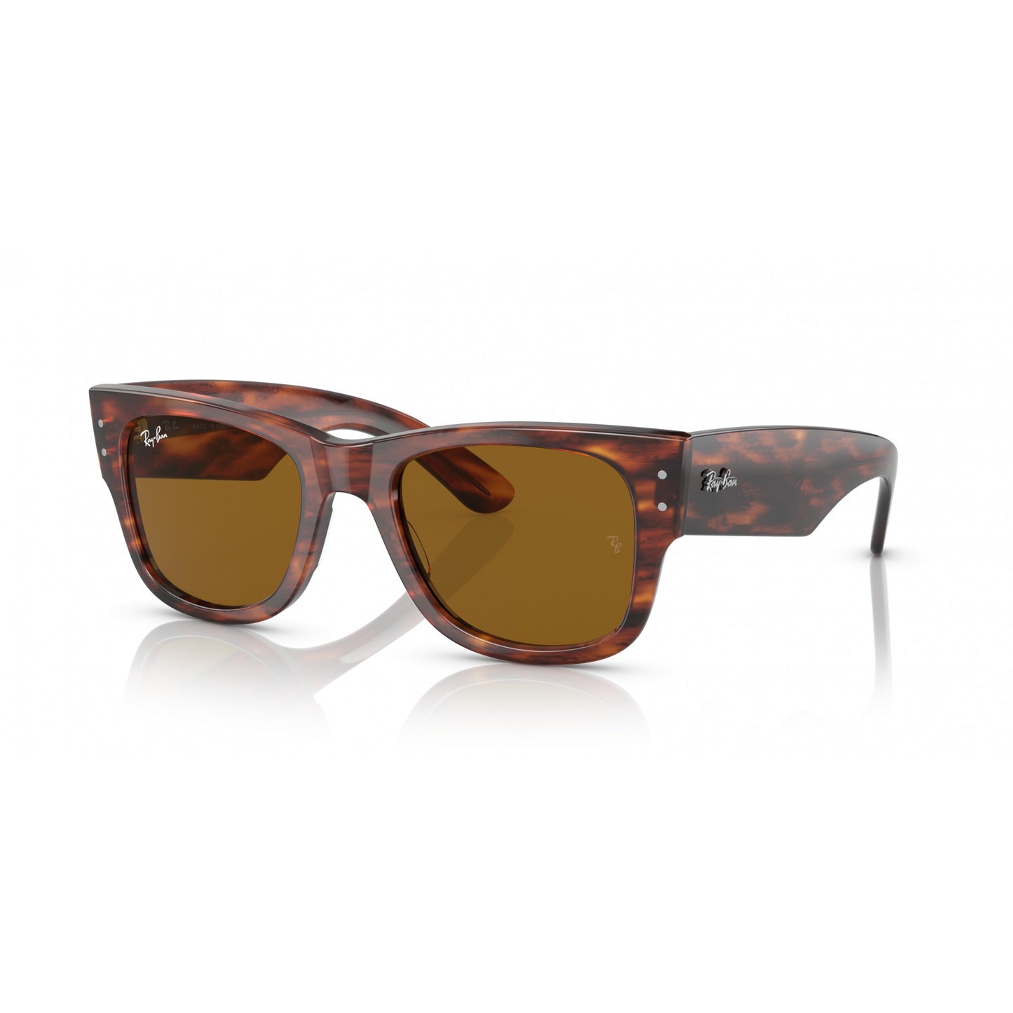 Ray-Ban 0RB0840S