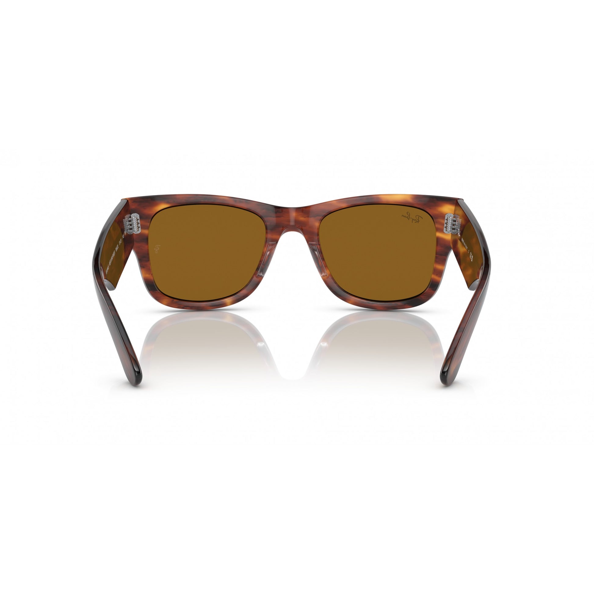 Ray-Ban 0RB0840S