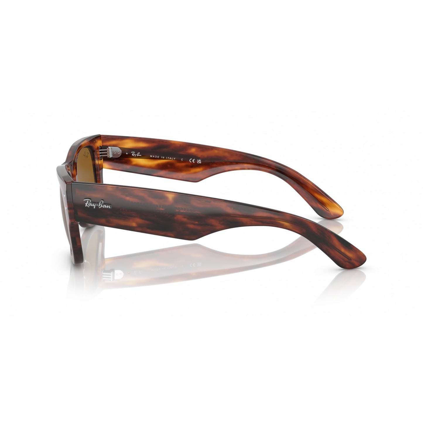Ray-Ban 0RB0840S